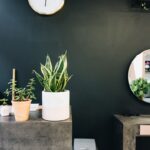 The Best Hairdressers in Brighton MA